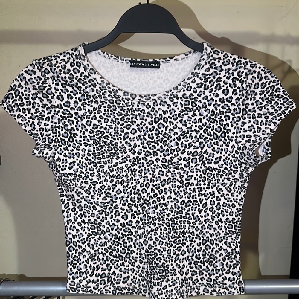 brandy melville crop tee